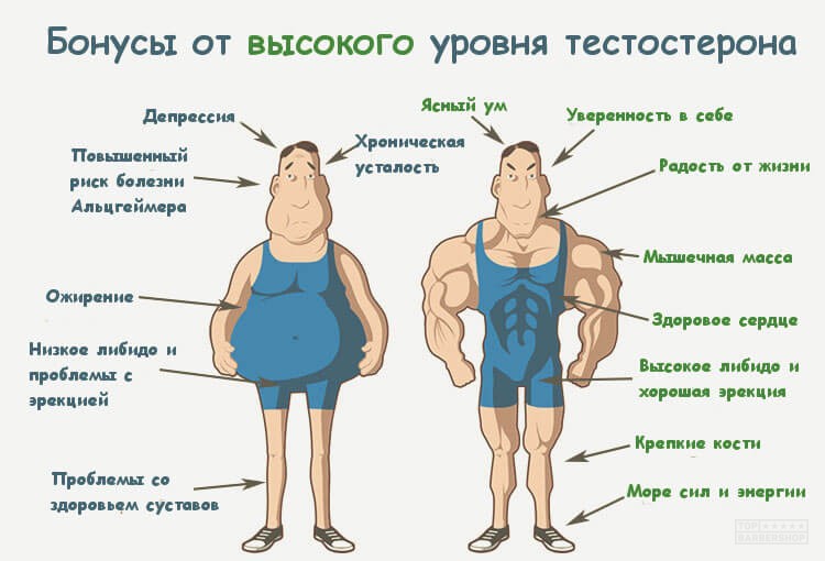 симптомы низкого тестостерона