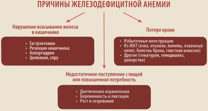 Каковы основные причины железодефицитной анемии? Анемия